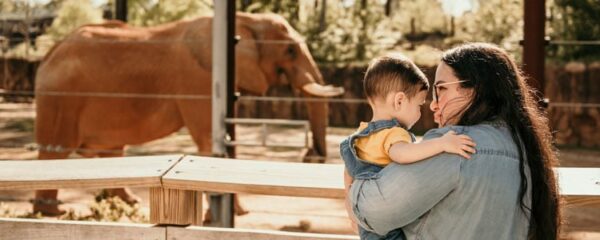 Les activités pour enfants au zoo