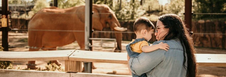 Les activités pour enfants au zoo